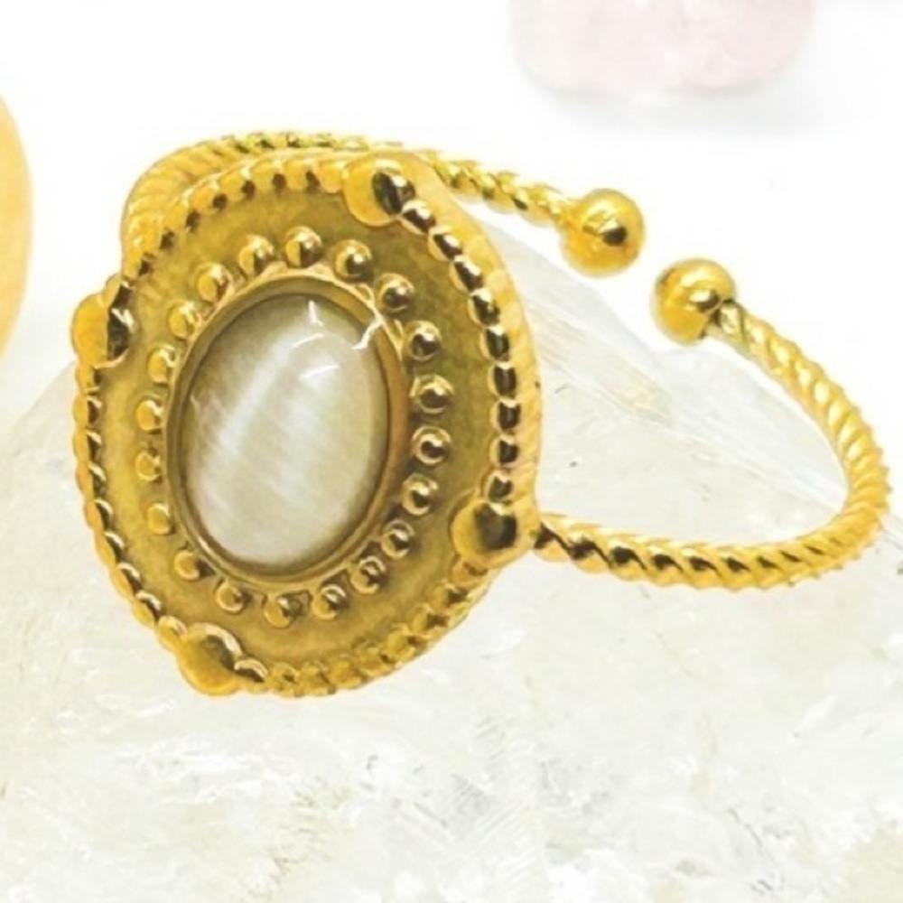 NWOT Stainless Steel 18K Gold Plated Adjustable Ring with white Tigereye
